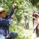 박종애농장 이미지