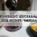 금양인터내셔날롯데 이미지