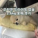드라이빙 | 코지앤 드라이빙 캡슐 후기 | 2.5kg 포메라니안 소형견 카시트
