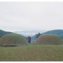 제일장의사 - 창원시 마산합포구 315대로 141-1 | 제일장의사