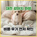 대전 강아지 화장 비용·후기, 믿을 수 있는 장례 기준?