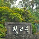 약초산방 | 가평 숨은 명소, 청리움 방문 후기 (feat. 꿀팁 및 주의사항)