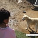 벌말농원 이미지