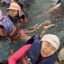 경희대 퍼스트클래스 국가대표 태권도장 | [청천동 최초 음악 줄넘기 전문학원 / 그랑힐스 음악줄넘기 No.1] 지도진 7명이 함께하는 주말 행사...