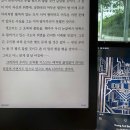 용남공원 | 25년 8월 캐비넷 Hey summer 인사할 때야