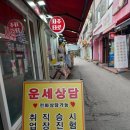 전주청사진 | 전주사주 엄뫼사주타로공간 다녀온 후기!!~