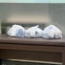 누리소프트 | 구로디지털단지 맛집ㅣ구디 점심 혼밥 가능한 누리한방삼계탕