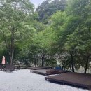 개미들솔향기야영장 이미지