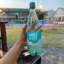 영천솔롱고글램핑 | [경북여행] 영천 글램핑 후기 "솔롱고"