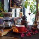 비비당구장 이미지