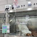 밀양동물메디컬센터 이미지