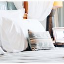 동대문한세탁 이미지