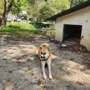 한계령 언덕집 이미지