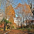 화랑로7 이미지