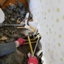 벽산목욕탕 이미지