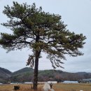 원주굽이길 10코스 천년사지길 이미지