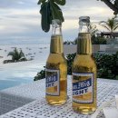 BLACK PINE RESORT | 보홀 헤난 프리미어 코스트 리조트, 풀 바 메뉴 가격 정리