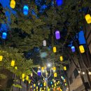 비니피자요 | 보정동 카페거리 블루리본 맛집 <비니에올리>