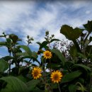 대풍농장 이미지