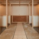 면역공방 이미지