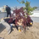 부천메디컬프라자 이미지