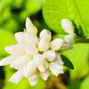 세상과 소통하는 시낭송 | 숨겨야만 했던 거짓말, 그 뒤에는 무엇이 있을까?