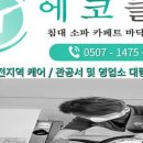 에코클린 침대소파카페트 울산본점 이미지