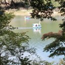 HJ글램핑 이미지