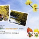 구례제 Daum카페