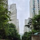 관악드림타운아파트경로당 | 관악드림타운 관악푸르지오 관악우성 아파트 관악구 임장 후기