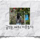 영생약국 | 데이미언 허스트: 진실은 없어 그러나 모든 것은 가능하지