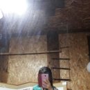 한복농장 이미지