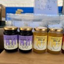 참새의 정원 이미지