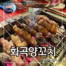 까치산 나물집 | 화곡동 양꼬치 화곡양꼬치 강서구 까치산 로컬 맛집 추천