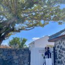 뉘드뽀즈 이미지