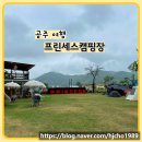 충남 공주 여행 프린세스캠핑장 애견동반 가능 캠핑장 우중캠핑