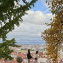 황금성당 | [체코 프라하] 프라하성 관람후기. 포토존 추천. 뷰맛집/ 성비투스대성당,구왕궁,성이르지성당,황금소로