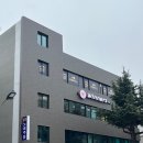위너스 홀덤