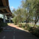 학여울길 이미지