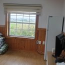 비양도 봄날 민박 이미지