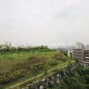 헤렌공인중개사사무소 이미지