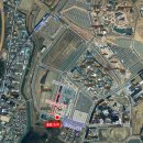 바다바다 | 2025.04.27 부산 기장바다마라톤 후기