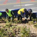 감천2동-16 이미지