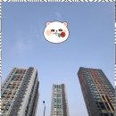 마음편한공인중개사사무소 이미지