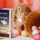 청어람수학학원 이미지