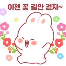 사하구-72 이미지