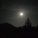 톨레돗