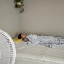 시온디자인 | 여름이불추천 침대쿨매트 바꾸고 시원해진 시온 냉감패드 후기