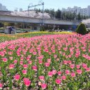 낙동강관리본부 화명생태공원 1 이미지