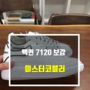인하수선 이미지